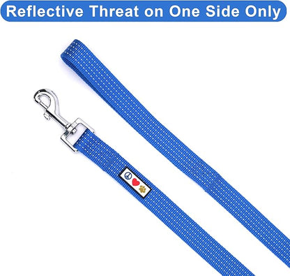 Pawtitas Blue Dog Leash 6 ft M/L Reflective Durable Lightweight Dog Lead for Medium or Large Dogs and Puppies