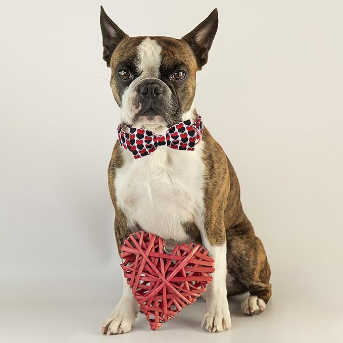 Valentine Dog Collar for Large Dog with Bow Tie, Red&Black Love Heart Valentine Dog Collars with Safety Metal Buckle Adjustable Puppy Collars for Boy & Girl Dogs XL