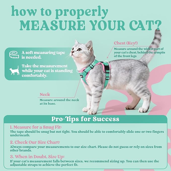 rabbitgoo Cat Harness and Leash for Walking, Escape Proof Soft Adjustable Vest Harnesses for Cats, Easy Control Breathable Reflective Strips Jacket, Green&Pink, M