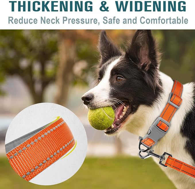Dog Collar for Medium Small Large Dogs Reflective with Leash,Collar and Leash for Dogs,Soft Neoprene Padded 2 Pack(Orange,XS)