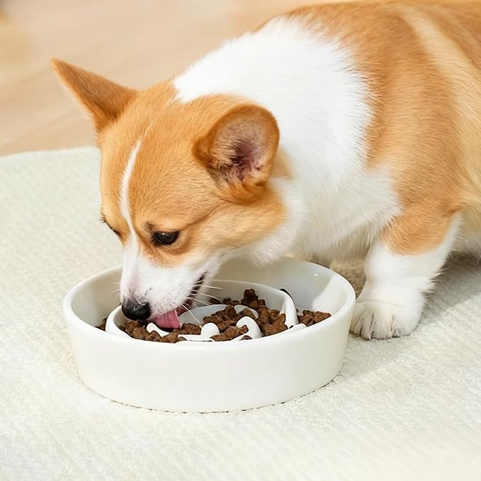 TRUVIC Ceramic Slow Feeder Dog Bowls, 1.5 Cup Puzzle Slow Feeder Bowls for Fast Eaters, Ceramic Dog Food Dish no Black Chin, Puzzle Bowl for Medium Dogs, White