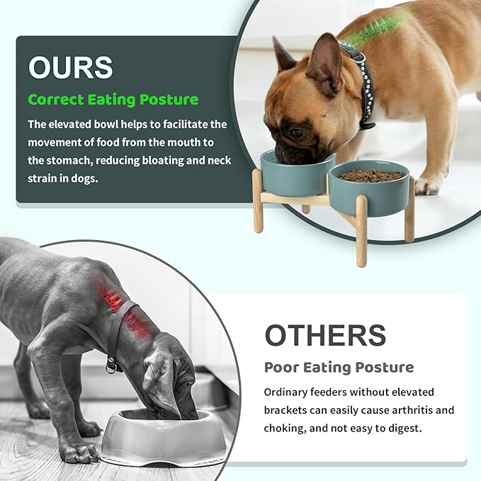 SPUNKYJUNKY Elevated Ceramic Dog Food and Water Bowl with Wooden Stand for Medium and Large Dogs (Single 60OZ, Dark Green)
