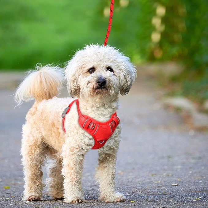 BARKBAY No Pull Dog Harness Large Reflective Dog Harness with Front Clip and Easy Control Handle for Walking Training Running with ID tag Pocket(Red,XS)