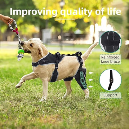 Dog Knee Brace for ACL/CCL Injuries,Torn Ligament,Pain Relief,Joint Warmth,Luxating Patella - Rear Leg Support,Black,Upgraded,Left Legs,Customized