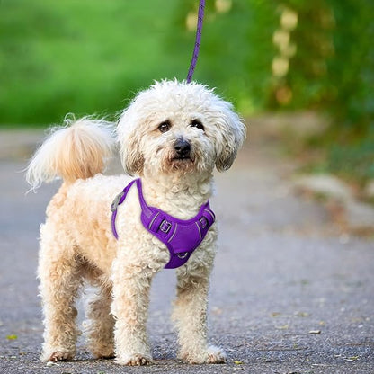 BARKBAY No Pull Dog Harness Large Reflective Dog Harness with Front Clip and Easy Control Handle for Walking Training Running with ID tag Pocket(Purple,XS)
