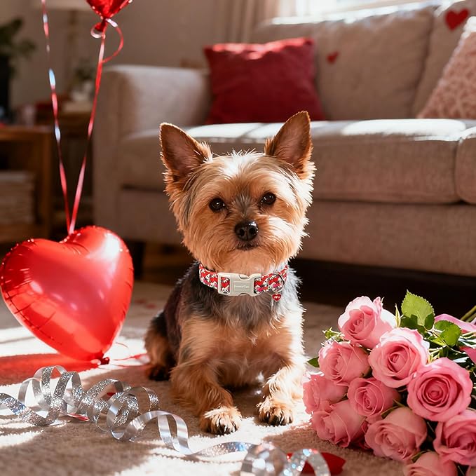 Lionet Paws Valentine's Day Dog Collars- Cute Spring Flowers Beige Dog Collar with Plastic Buckle and Heart Pendant,Dog Collar for Medium Large Dogs