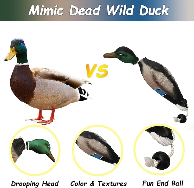 2 Pcs Duck Dummy Bumper Toys for Hunting Retriever Dog Training, Dog Retriever Outdoor Training Toy ，Hunting Duck Recognition Trainers, Foam Pet Interactive Toys
