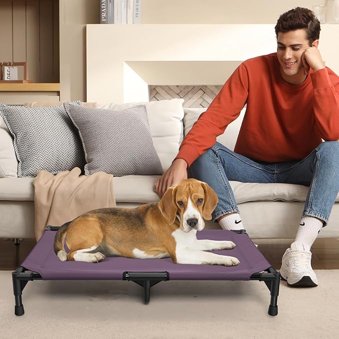 Love&go Elevated Dog Bed with Metal Frame, Cooling Raised Pet Cot for Dog and Cat (M - Purple, Medium-29.9x19.5x5.5 inch)