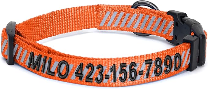 Pawtitas Reflective Dog Collar Reflective Thread Reflective Dog Collar Personalized Name Phone Number Adjustable Collar for Small Dogs Extra Small Puppy Orange Dog Collar Extra Small Breeds