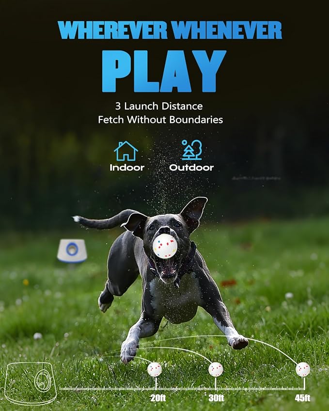 AIRSHOOTER Automatic Ball Thrower for Dogs, Ball Launcher for Dogs - 2.3" Dog Balls * 6Pack (Blue)