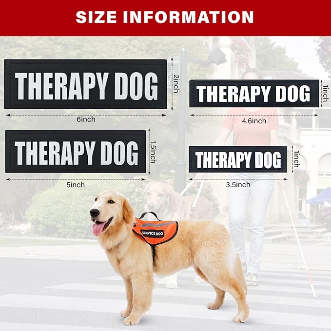 2Pack Black Service Dog Patches, Dog Harness Patches with Hook Backing, Removable Vest Patches for in Training Dogs, Therapy Dog-M