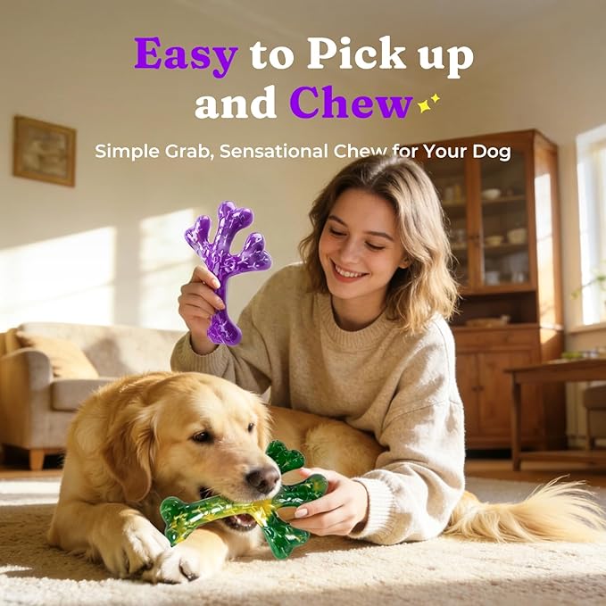 Frienhund Dog Toys for Aggressive Chewers - 2 Pack Beef Bacon Flavor Tough Dogs Chew Toys, Indestructible Toy for Medium Large Dogs Gift