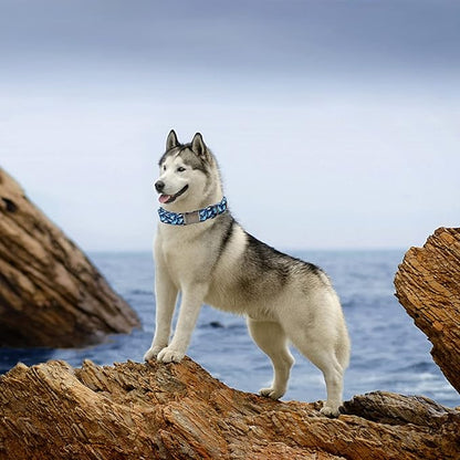 Elegant little tail Dog Collar, Blue Shark Pattern Pet Collar Durable Cute Dog Collars Male or Female Pet Gift Adjustable Dog Collar for Large Dogs