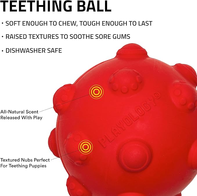 Playology Dog Toys | Puppy Toy Teething Ball Designed for Young & Active Dogs | Medium Beef Scented Toy Made from Non Toxic Materials