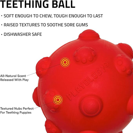 Playology Dog Toys | Puppy Toy Teething Ball Designed for Young & Active Dogs | Medium Beef Scented Toy Made from Non Toxic Materials
