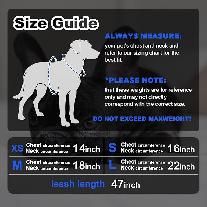 Dog Harness Medium Sized Dogs, Puppy Harness and Leash Set for Training, Running, Walking, Suitable for Small and Medium Dog Vest, Black, M