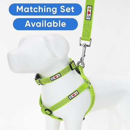 Pawtitas Green Dog Leash 6 ft M/L Reflective Durable Lightweight Dog Lead for Medium or Large Dogs and Puppies