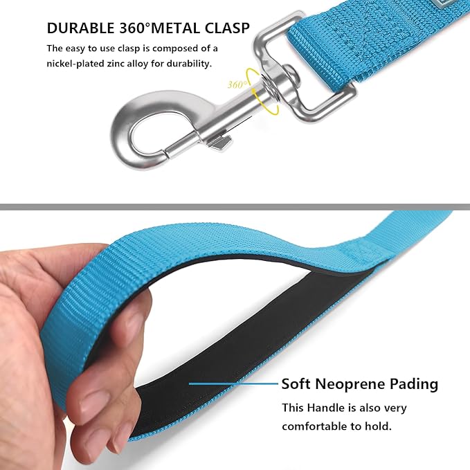 Basic Dog Leashes 6 FT Padded Handle Nylon Dogs Leashes for Medium Dogs Light Blue