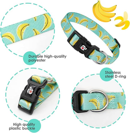 azuza Dog Collar and Leash Set, Cute Patterns on Nylon Collar and Matching Leash, Great Option for Medium Dogs