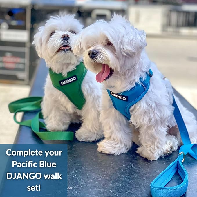 DJANGO Adventure Dog Leash – Strong, Comfortable, and Stylish Dog Leash with Solid Brass Hardware and Padded Handle - Designed for Outdoor Adventures and Everyday Use (Pacific Blue)