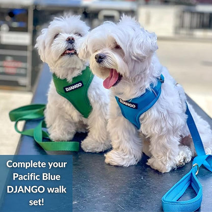 DJANGO Adventure Dog Leash – Strong, Comfortable, and Stylish Dog Leash with Solid Brass Hardware and Padded Handle - Designed for Outdoor Adventures and Everyday Use (Pacific Blue)