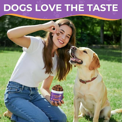 Probiotics for All Breeds and Ages Dogs, Support Gut Digestive Health, Anti Diarrhea, Constipation Relief, No More Allergies, Dog Supplements - Pork Flavor - 90 Soft Chews