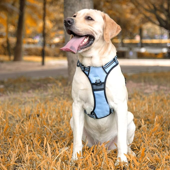 PoyPet No Pull Dog Harness, [Release on Neck] Reflective Adjustable No Choke Pet Vest with Front & Back 2 Leash Attachments, Soft Control Training Handle for Small Medium Large Dogs(Light Blue,XL)