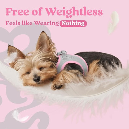 rabbitgoo Small Dog Harness, Step-in Soft Mesh Puppy Vest with Safety Buckle, Breathable Reflective Pet Harness for Extra Small Dogs, Pink & Gray XXS