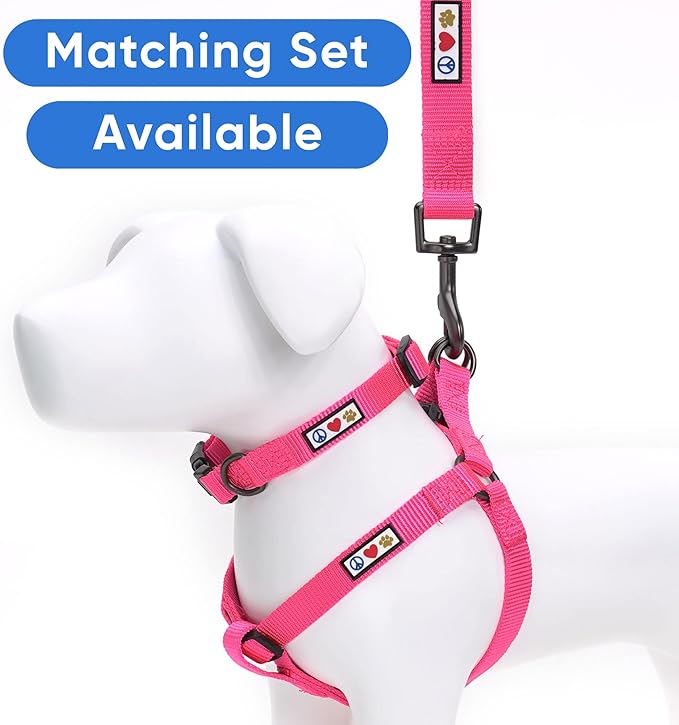 Pawtitas Personalized 6 ft Pink Dog Leash XS/S Custom Name and Phone Embroidery Strong Nylon Leash for Small Breeds
