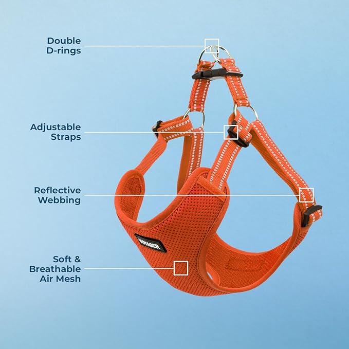 Best Pet Supplies Voyager Adjustable Step-in Flex Breathable Mesh Dog Harness for Small Medium Large Dogs (Orange), XL