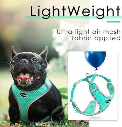 ThinkPet Reflective Breathable Soft Air Mesh No Pull Puppy Choke Free Over Head Vest Harness for Puppy Small Medium Dogs and Cats Teal Large