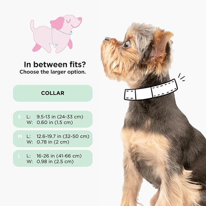 Sassy Woof Dog Collar Harry Potter™ Marauder's Map - S, Adjustable, Durable, Comfortable and Stylish Pet Accessories for Small Dogs - Officially Licensed