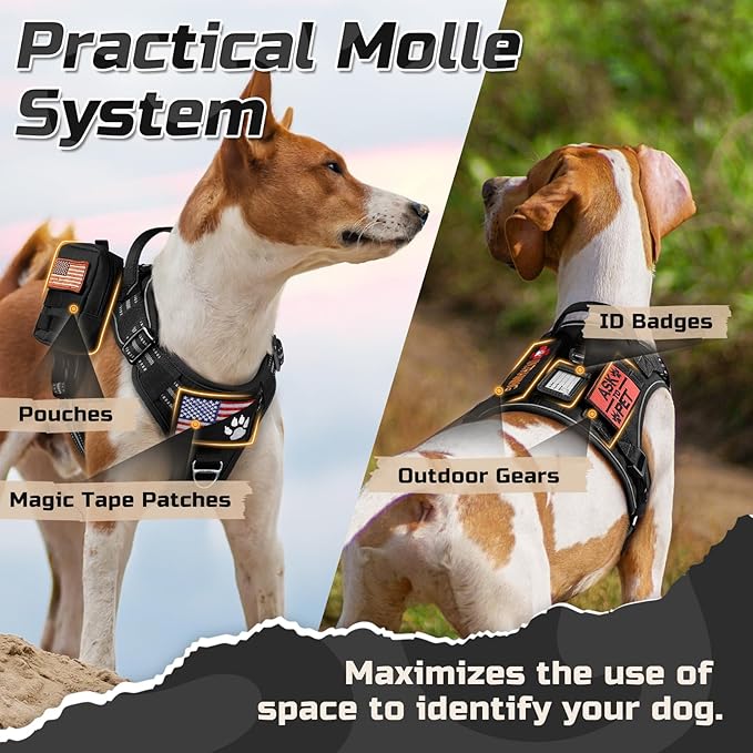 rabbitgoo Tactical Dog Harness Medium Sized Dog, No Pull Military Service Vest with Handle & Molle, Easy Control for Training Walking, Adjustable Reflective Straps, Black, M