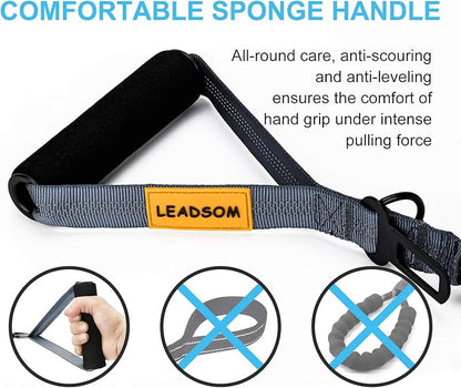 LEADSOM 6FT Highly Reflective Heavy Duty Elastic Bungee Medium and Large Dog Leash Shock Absorbing with Comfortable Padded Handle and Traffic Handle Suitable for Training Grey