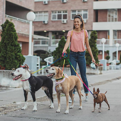 3-Pack Adjustable Rainbow Dog Slip Leads Multi-Color, 5FT Reflective Nylon – No Collar Needed, No-Pull, Ideal for Small/Medium Dogs (Training/Walking)