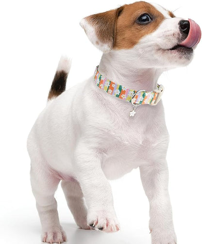 Faygarsle Colorful Floral Dog Collar, Cotton Fabric with Daisy Pattern, Multi-Color Stripes Spring Summer Design for Small Medium Large Dogs S