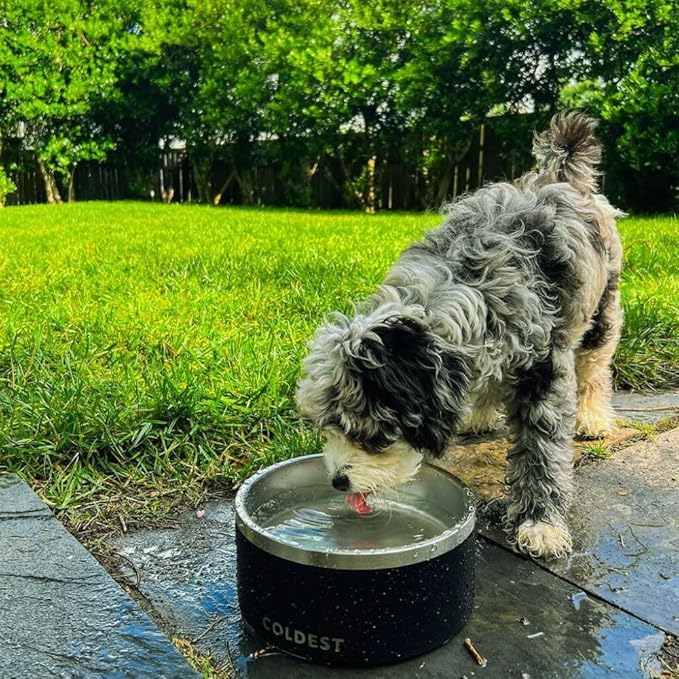 Coldest Dog Bowl - Anti Rust Metal, Non Slip, 3 Layers Insulated Stainless Steel Dog Bowls - Spill Proof & Heavy Duty - Water Bowl for Dogs, Cats & Pets, Dish Washer Safe (100 oz, Solar Yellow)