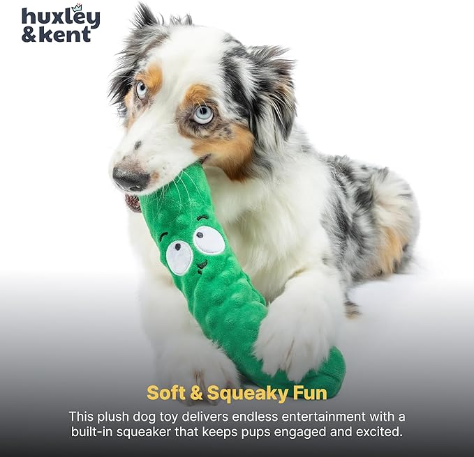Huxley & Kent Funny Dog Toy w/Squeaker – Power Plush Squeaky Dog Toys for Small, Medium & Large Dogs – Soft Stuffed Animal for Indoor Play & Fetch - Fetchies® Dell Pickle, Small
