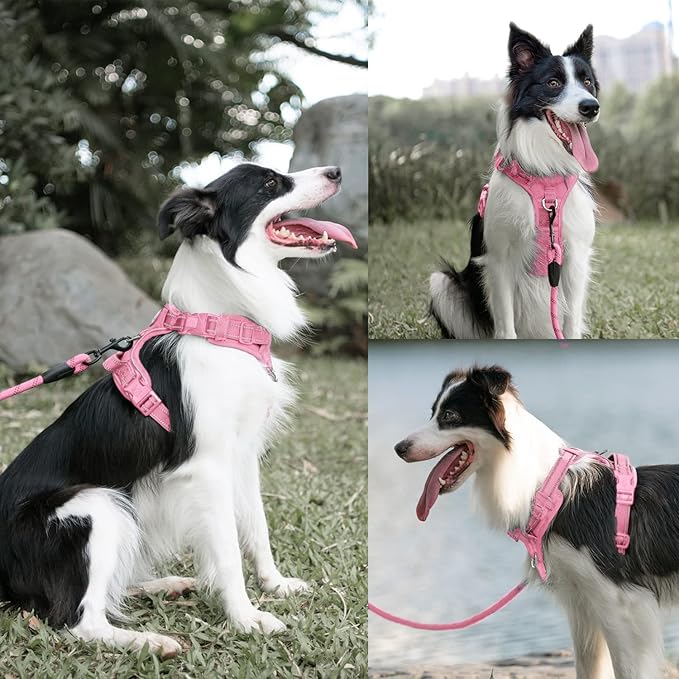 PoyPet No Pull Dog Harness and 5 Feet Leash Set, Release on Neck Reflective Adjustable Pet Vest, Front & Back 2 D-Ring and Soft Padded Pet Harness with Handle for Small to Large Dogs(Pink,M)