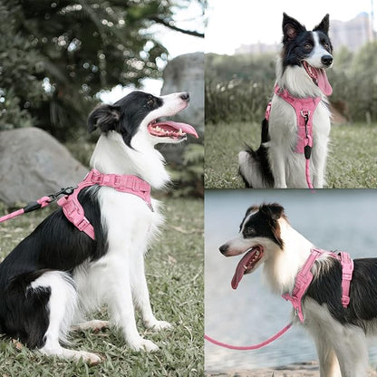 PoyPet No Pull Dog Harness and 5 Feet Leash Set, Release on Neck Reflective Adjustable Pet Vest, Front & Back 2 D-Ring and Soft Padded Pet Harness with Handle for Small to Large Dogs(Pink,M)