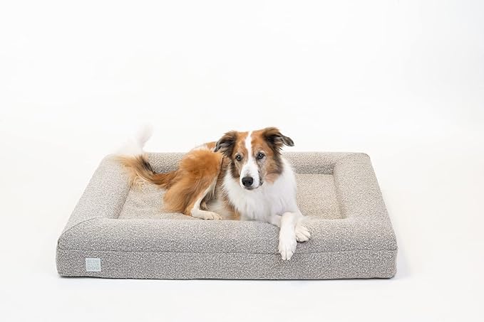 Bluewater Dog Luxury Boucle Orthopedic Memory Foam Dog Bed with Waterproof Liner and Machine Washable Cover with YKK Zippers (Large, 45" L x 36" W x 7" Th, Sand)