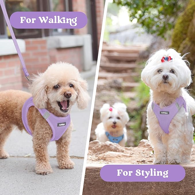 rabbitgoo Small Dog Harness, Step-in Soft Mesh Puppy Vest with Safety Buckle, Breathable Reflective Pet Harness for Small Medium Dogs, Light Purple L