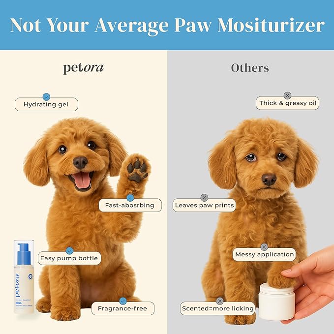 petora] PAWFECT Comfort Soothing Jelly Serum for Dogs & Cats | Fast Relief for Dry, Cracked Paws, Hot Spots & Itchy Skin | Certified KAPQA Animal Safety & Efficacy | Pump Dispenser Mess-Free