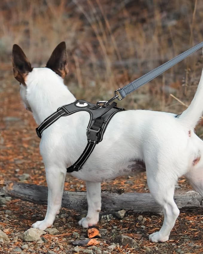 Joytale Double-Sided Reflective Dog Leash, 6 FT/5 FT/4 FT, Padded Handle Nylon Heavy Duty Leashes for Small & Medium Dogs Walking, Gray, 5FT
