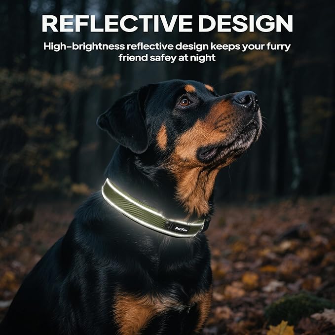 PetiFine Dog Collar for Large Dogs, Neoprene Padded and Adjustable, Reflective Wide Heavy Duty Pet Collars with Durable Metal Belt Buckle for Walking, Green, L