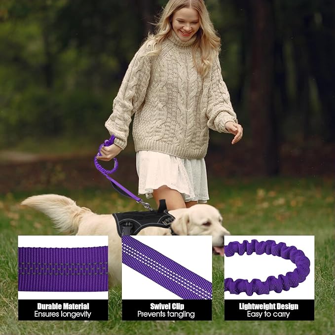 BUMBIN 6Ft Dog Leash - Large Dogs, Bungee Leash with 2 Handles, Heavy Duty, No Pull Shock Absorbing, Purple
