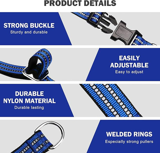 Hikiko Martingale Collar for Dogs Reflective Nylon Dog Collar with Quick Release Buckle Adjustable Training No Slip Dog Collar (X-Small, Blue)
