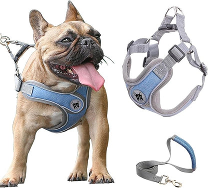 Puppy Harness and Leash Set,No Pull Adjustable Step in Soft Mesh Vest Harness,Easy Walk Reflective Pet Harness with Padded Handle for Walking Training Small Medium Large Dogs and Cats (Blue, XS)