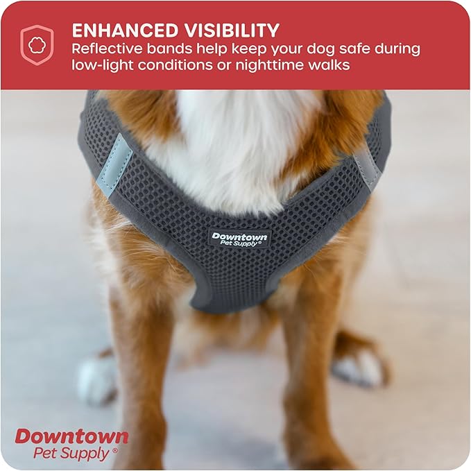 Downtown Pet Supply Step-in Dog Harness – No Pull, Adjustable Padded Mesh with Reflective Trim, Secure Buckle Strap – Comfortable & Breathable Small Dog Harness, Small, Charcoal