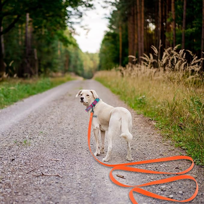 Wolfone 40ft Orange Long Leash - Waterproof Training Dog Leash for Recall, Swimming, Camping, Beach, Hunting, Walking